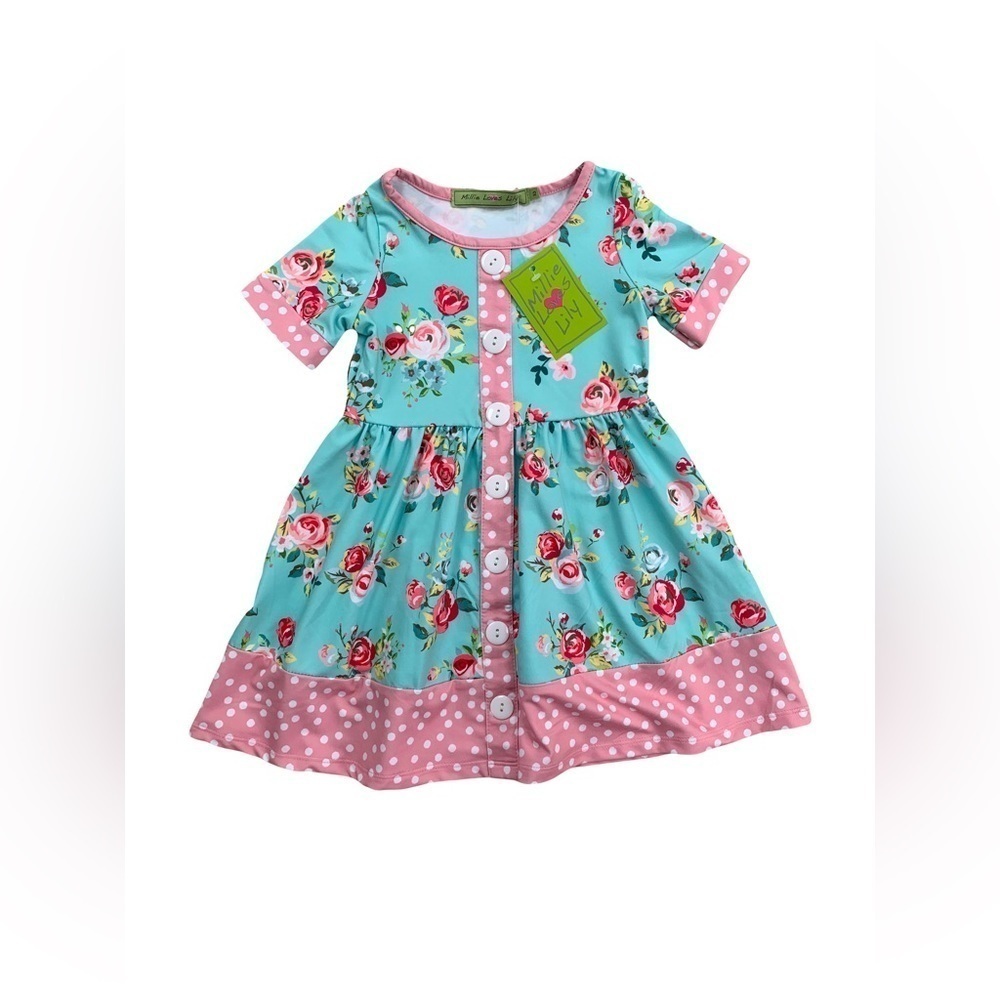 Millie Loves Lily NWT Size 2 Mint and Pink Floral Button-Up Chloe A-Line Dress